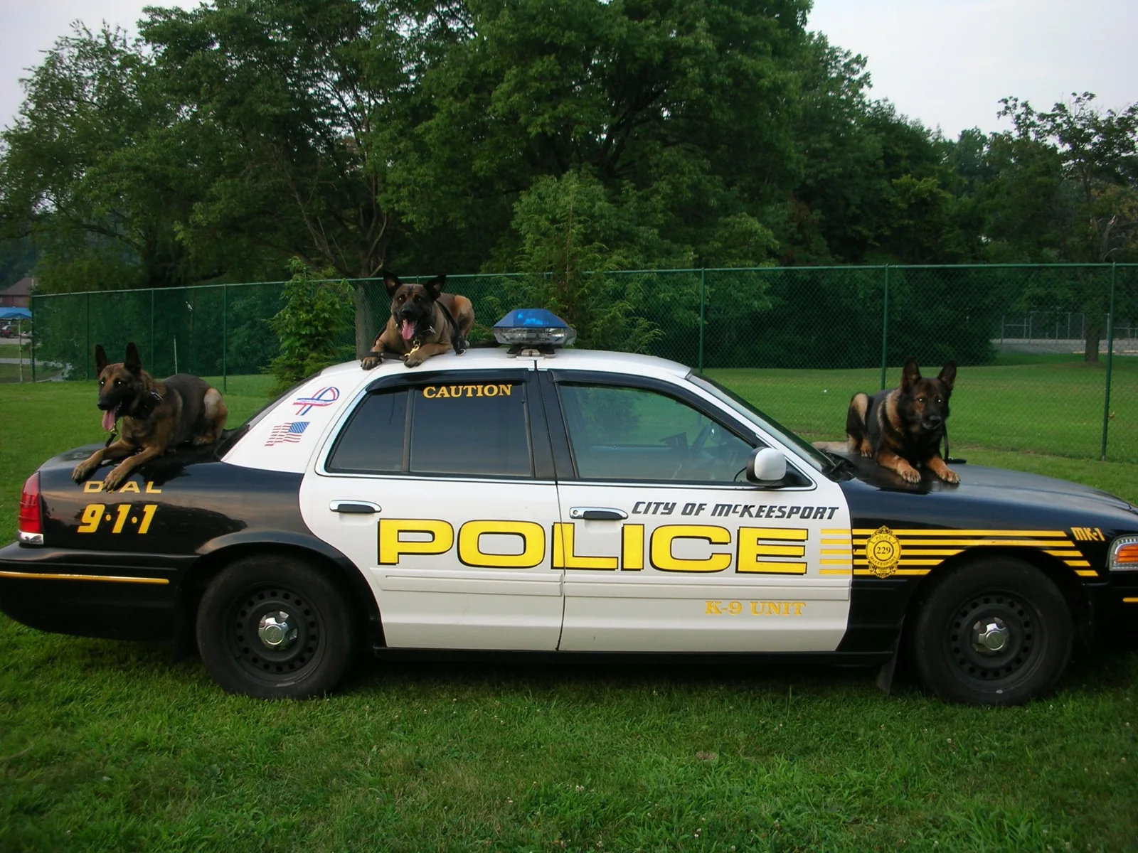 Three working dogs with a City of McKeesport Police K-9 Unit vehicle